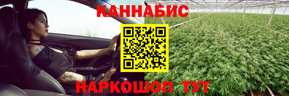 Марихуана ГИДРОПОН Владикавказ